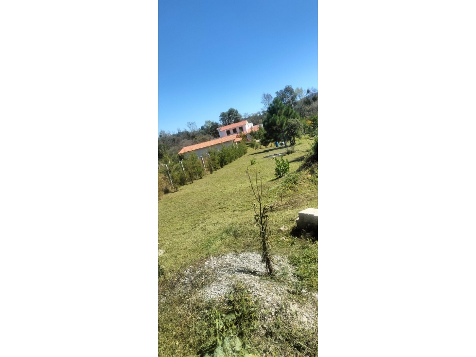 TERRENO EN VENTA EN TAPALPA PARA CABAÑA O CASA DE DESCANSO - 2