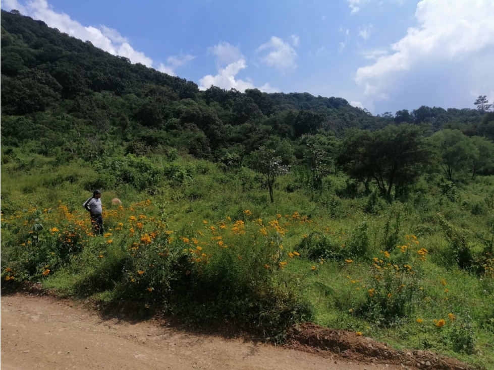 TERRENO EN VENTA EN MAZAMITLA, JALISCO - 4