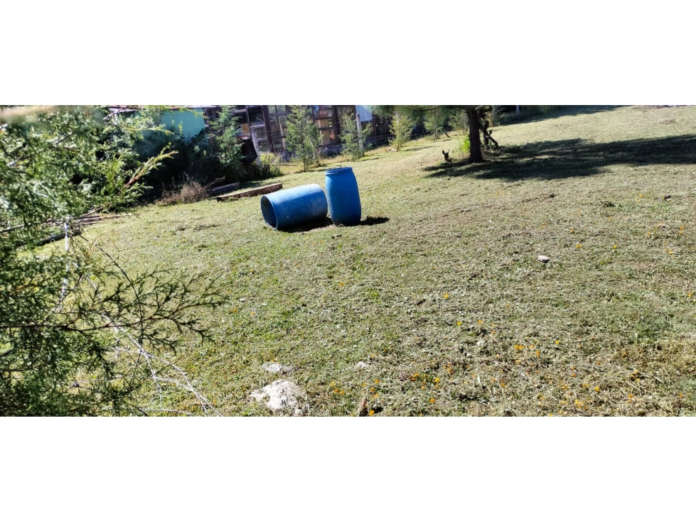 TERRENO EN VENTA EN TAPALPA PARA CABAÑA O CASA DE DESCANSO - 6