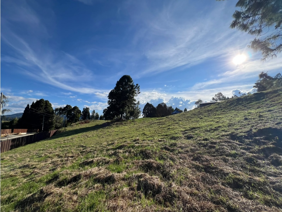 EN VENTA: Espectacular Lote en el Alto de las Palmas — foto 3