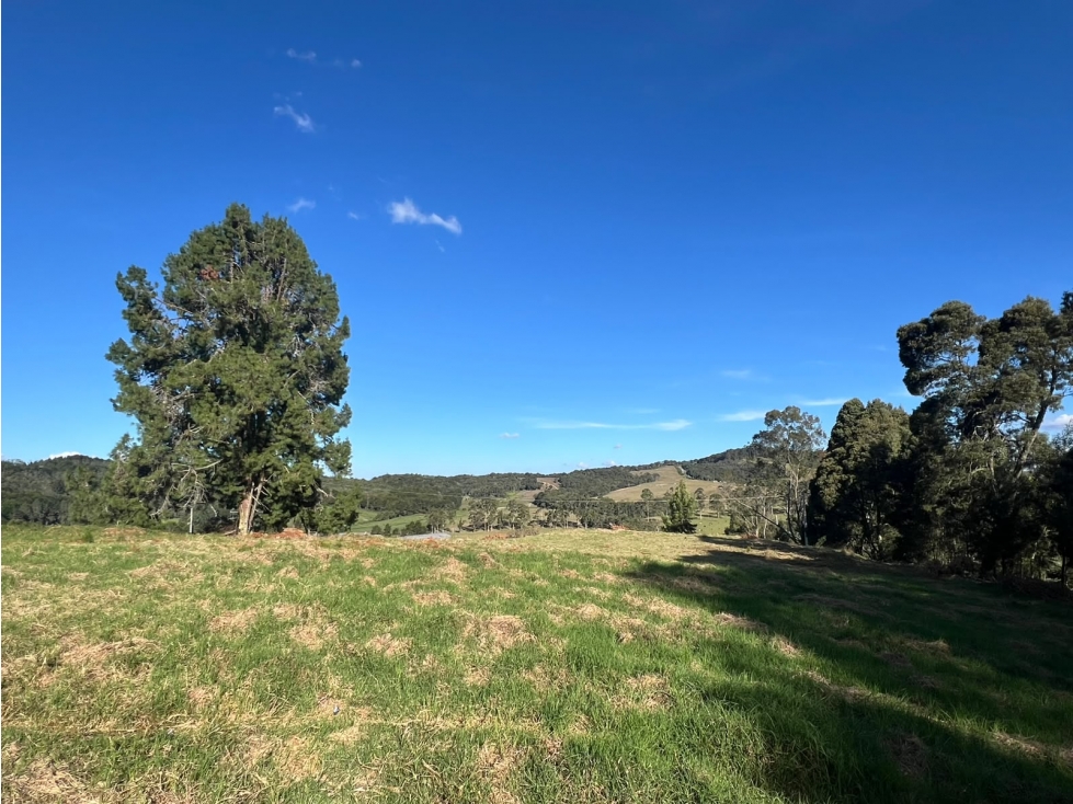EN VENTA: Espectacular Lote en el Alto de las Palmas