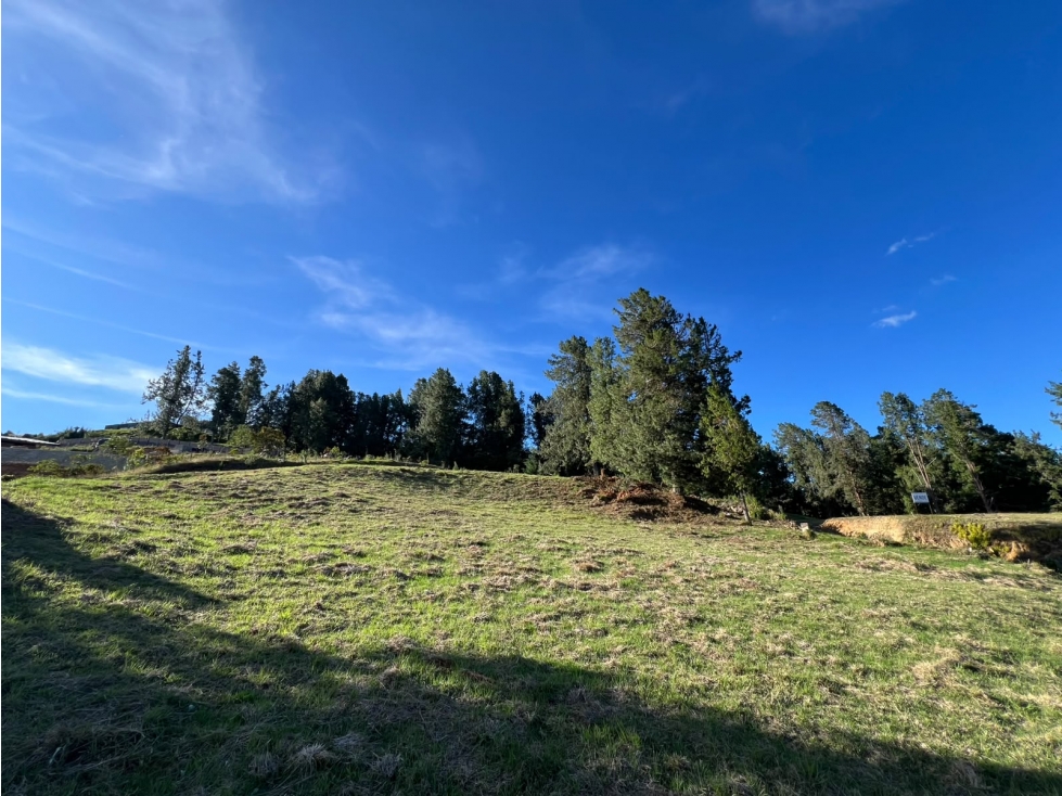 EN VENTA: Espectacular Lote en el Alto de las Palmas — foto 5