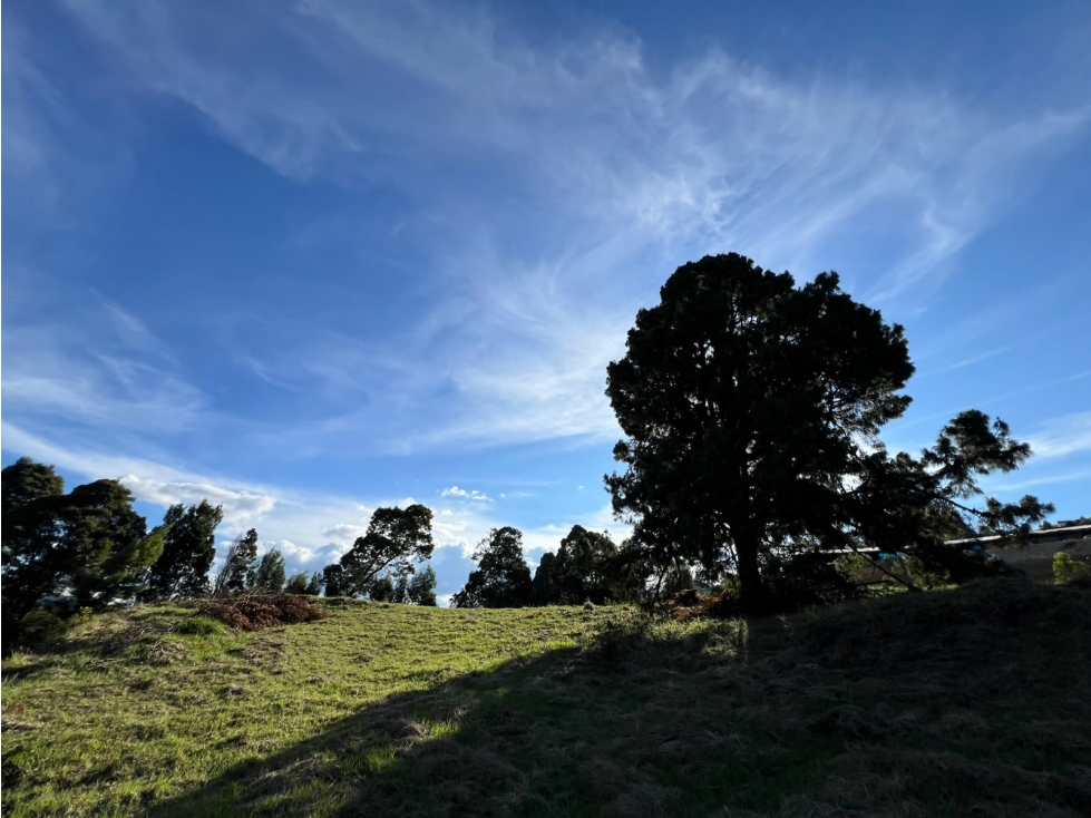 EN VENTA: Espectacular Lote en el Alto de las Palmas — foto 6