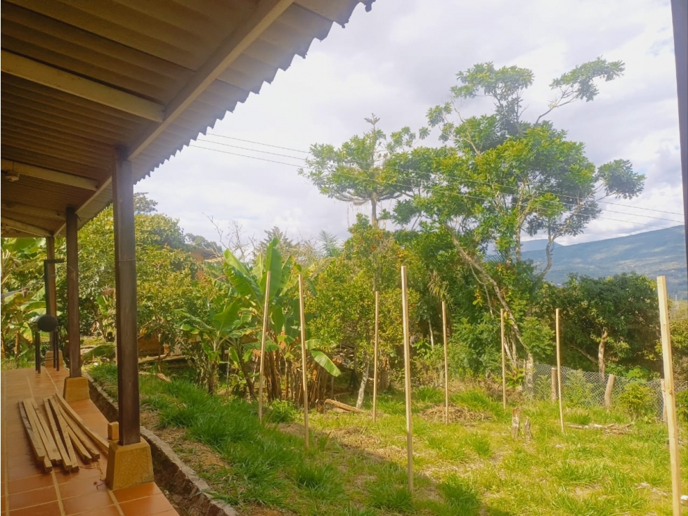 SE VENDE FINCA "IROBA" EN PUENTE NACIONAL - 5