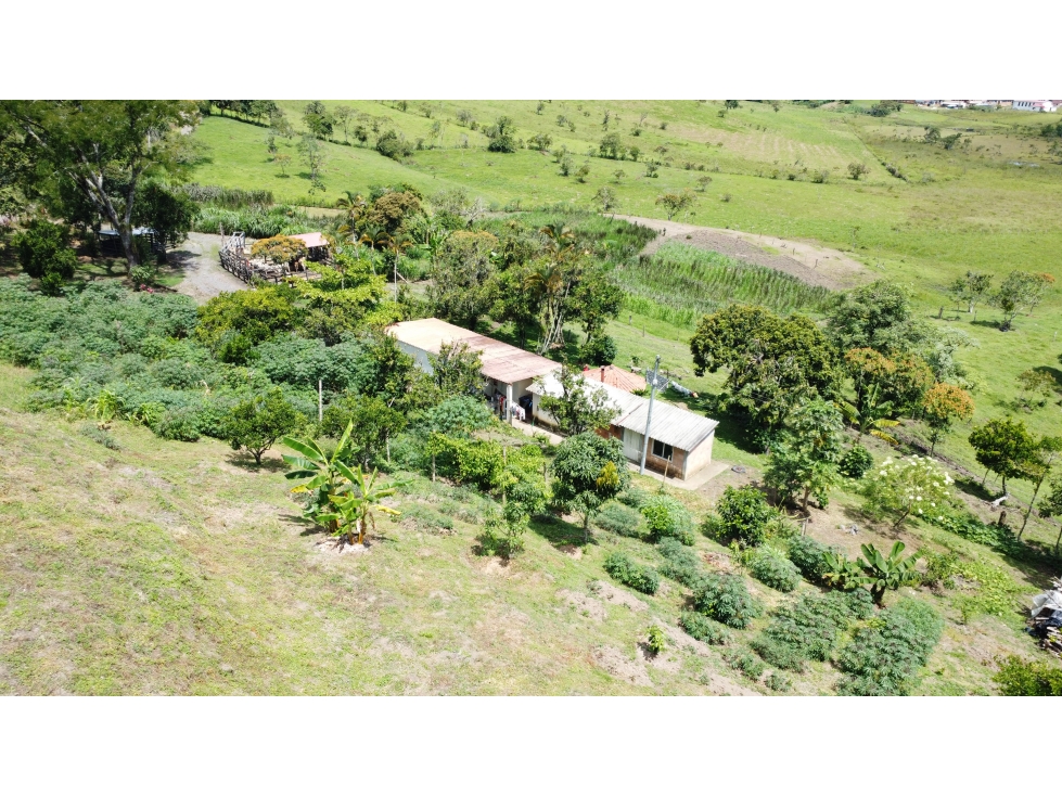 SE VENDE FINCA EL CARACOL UBICADO EN OIBA SDER/ VEREDA GUAYABITO - 2