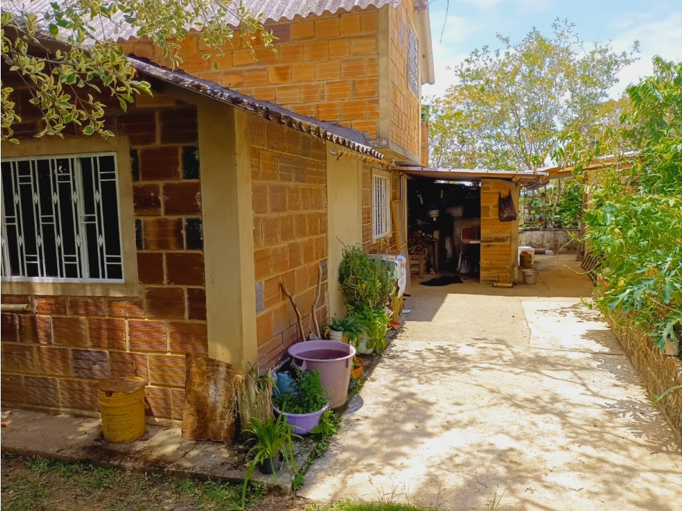 SE VENDE FINCA EL PARAISO, PUENTE NACIONAL. - 3