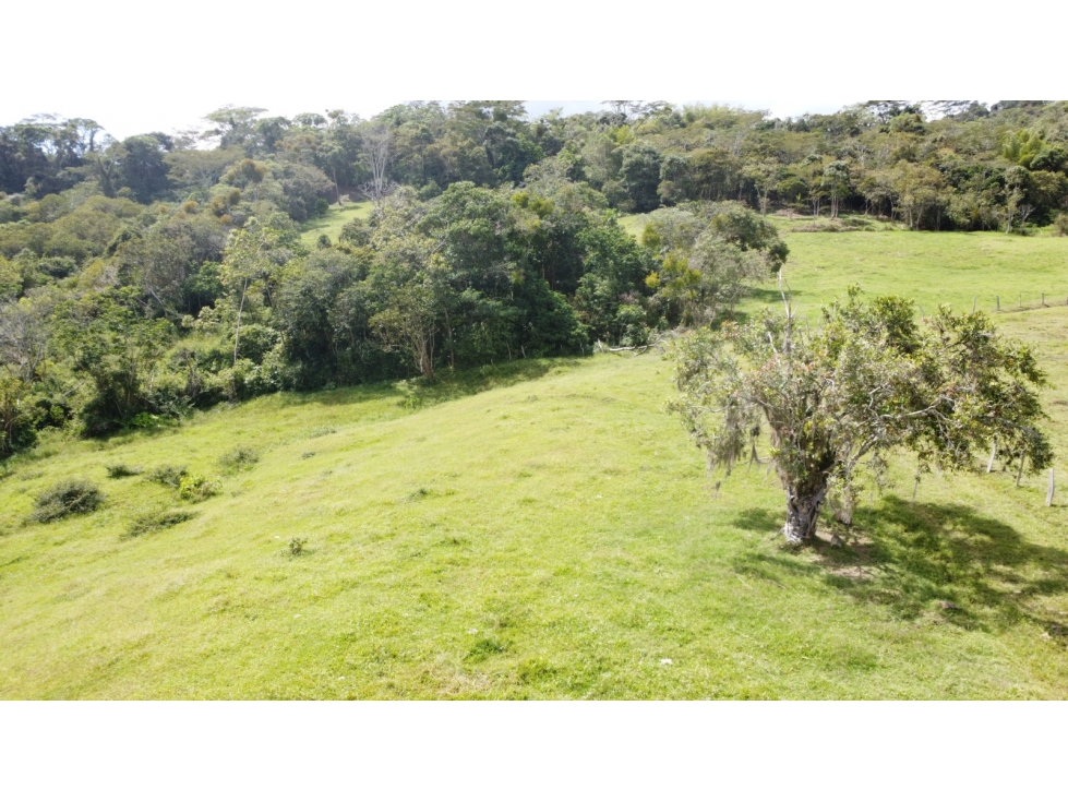 SE VENDE LOTE EN VEREDA MACIEGAL MONIQUIRA BOYACA - 4