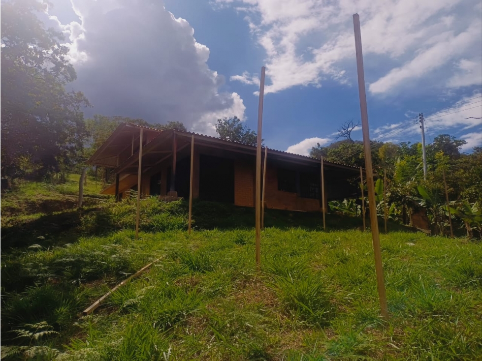 SE VENDE FINCA "IROBA" EN PUENTE NACIONAL - 6