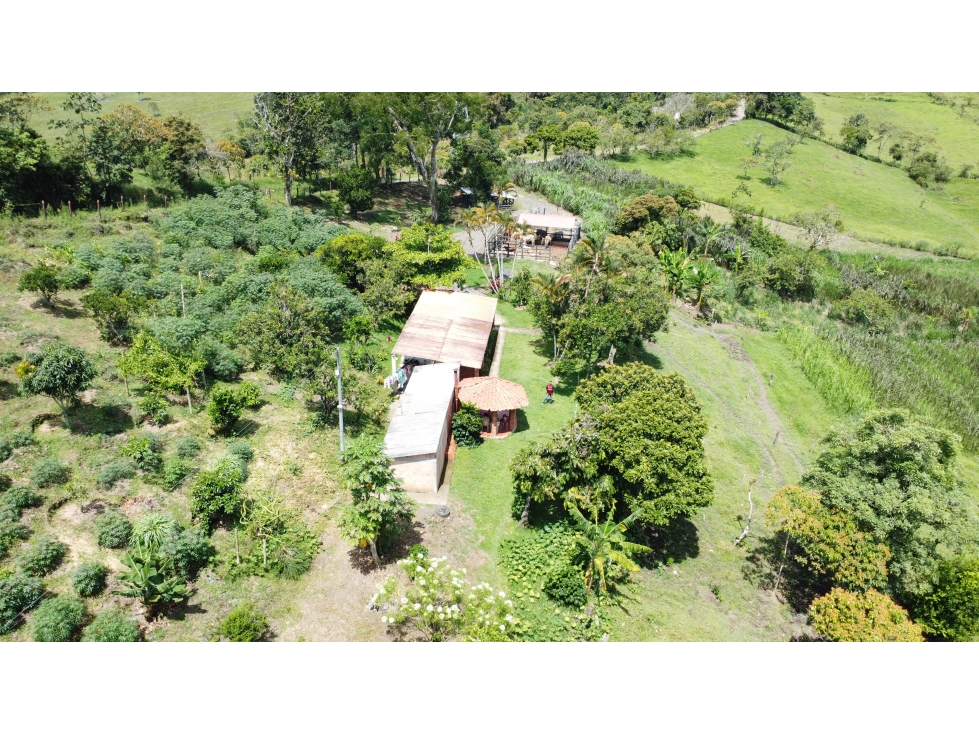 SE VENDE FINCA EL CARACOL UBICADO EN OIBA SDER/ VEREDA GUAYABITO - 1