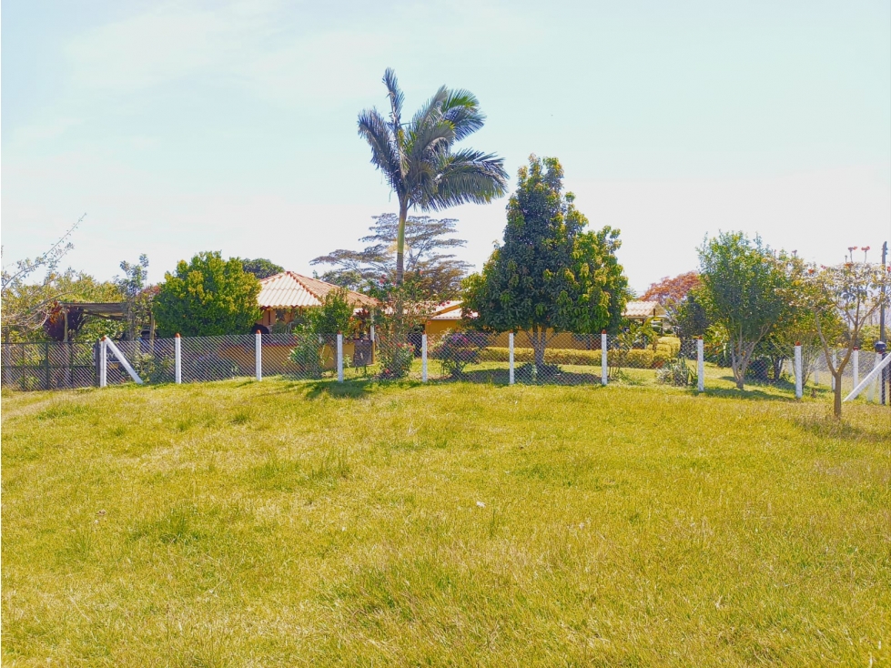 SE VENDE FINCA VEREDA ALTO SEMISA PUENTE NACIONAL - 1