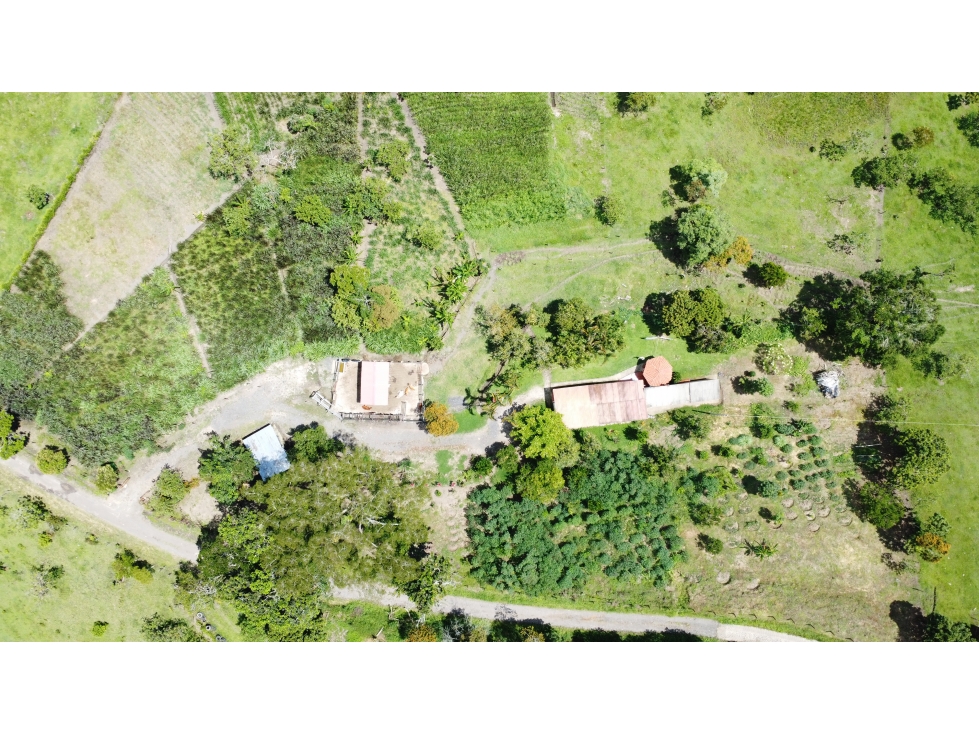 SE VENDE FINCA EL CARACOL UBICADO EN OIBA SDER/ VEREDA GUAYABITO - 3