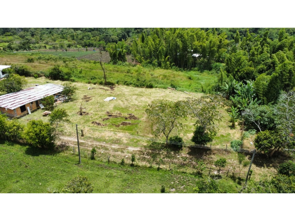 SE VENDEN LOTES CONJUNTO LAS PALMAS; SECTOR LA UIS - 5