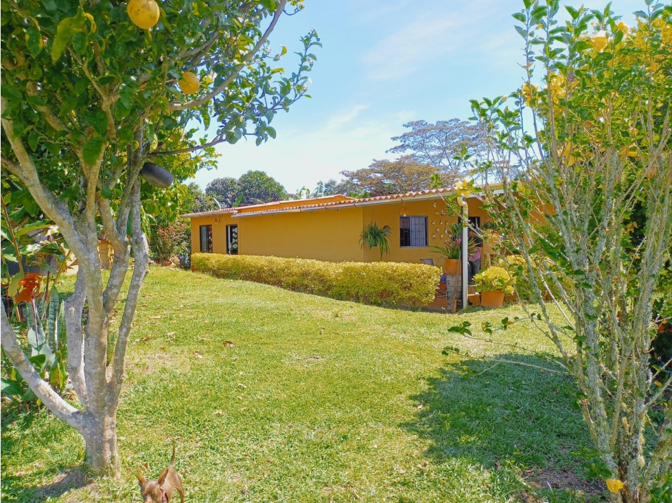 SE VENDE FINCA VEREDA ALTO SEMISA PUENTE NACIONAL - 3