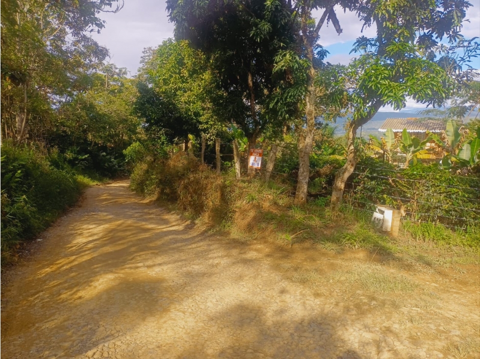 SE VENDE FINCA "IROBA" EN PUENTE NACIONAL - 4