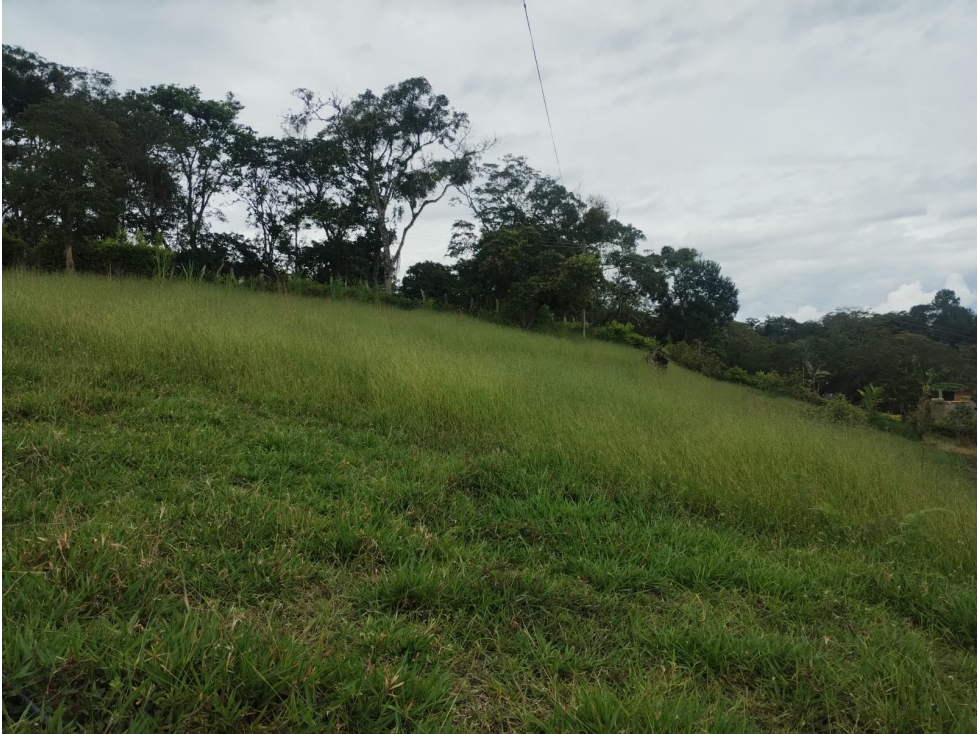SE VENDE LOTE DE 24000 m², MONIQUIRA BOYACA - 2