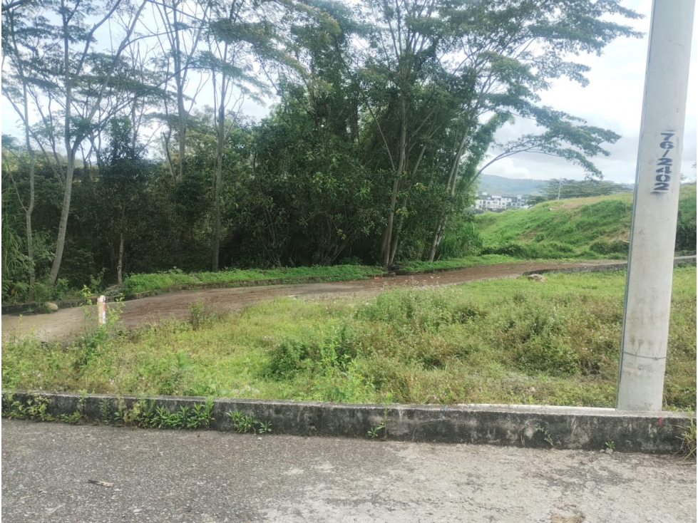 SE VENDEN LOTES VILLA SUSANA MONIQUIRA BOYACA - 3