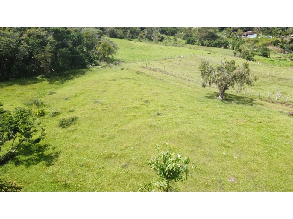 SE VENDE LOTE EN VEREDA MACIEGAL MONIQUIRA BOYACA - 3