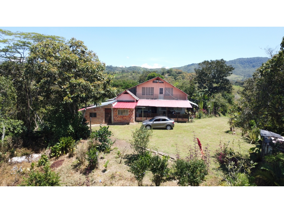 SE VENDE FINCA EL GUAMO UBICADO EN OIBA SDER/ VEREDA MONJAS - 1