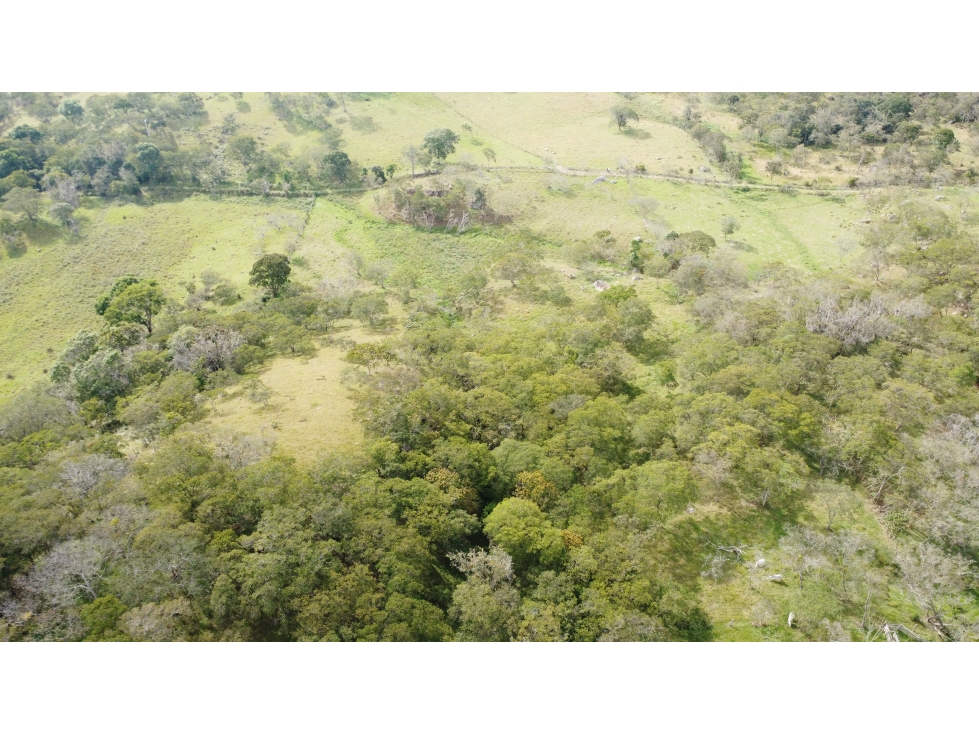 ¡TERRENO EN VENTA EN CAPILLA DE PUENTE NACIONAL, SANTANDER! — foto 2