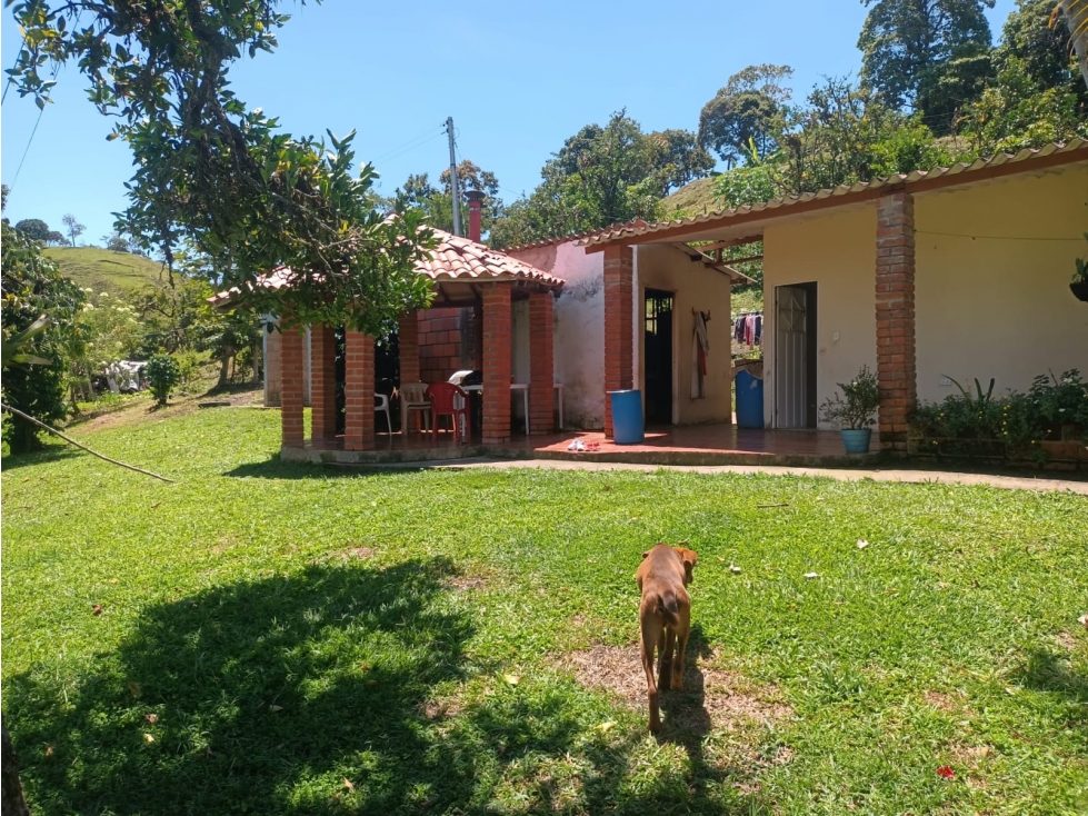 SE VENDE FINCA EL CARACOL UBICADO EN OIBA SDER/ VEREDA GUAYABITO - 6