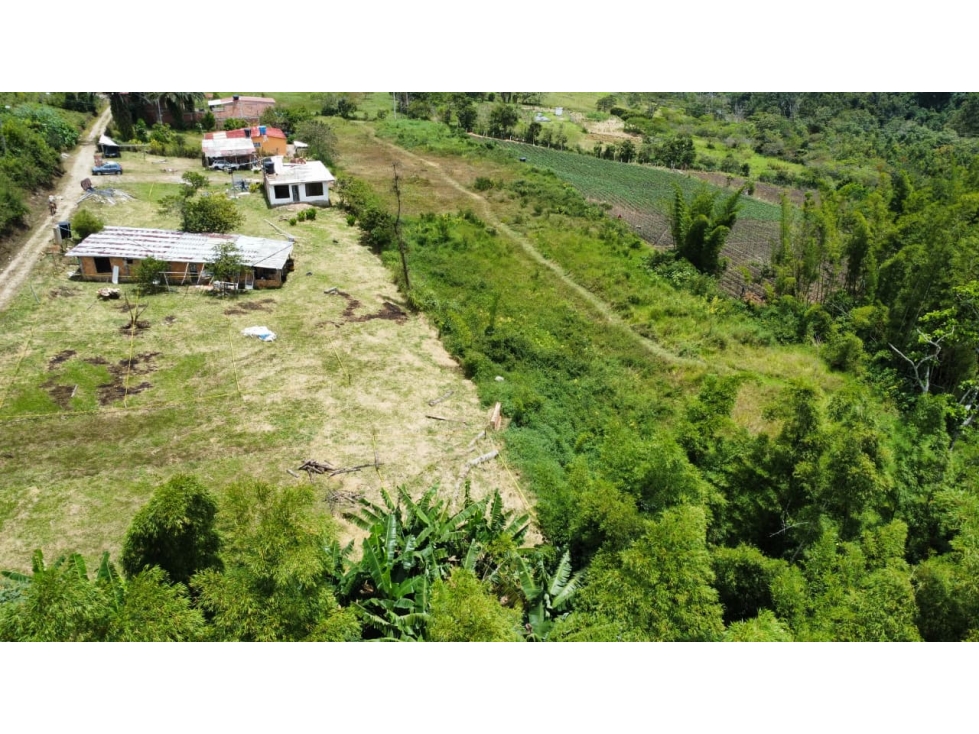 SE VENDEN LOTES CONJUNTO LAS PALMAS; SECTOR LA UIS - 4