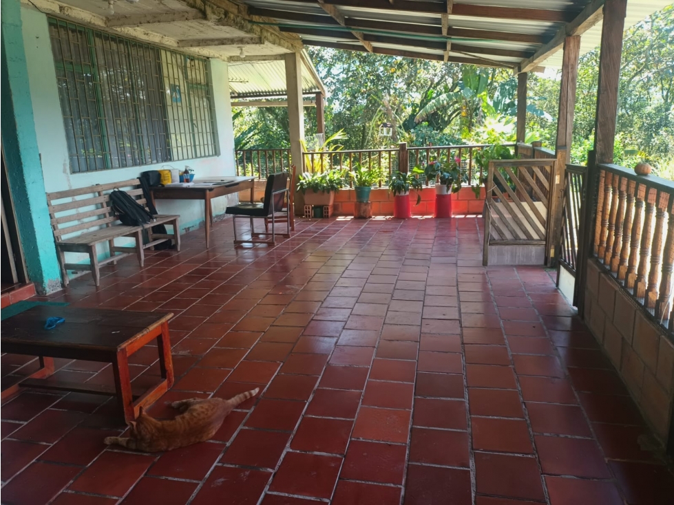 SE VENDE FINCA EL GUAMO UBICADO EN OIBA SDER/ VEREDA MONJAS - 4