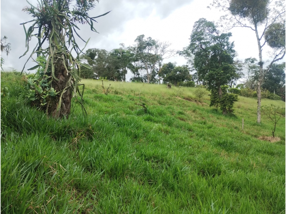 SE VENDE LOTE DE 24000 m², MONIQUIRA BOYACA - 3