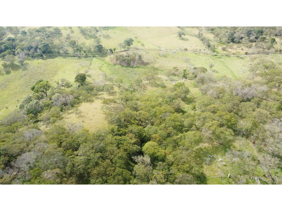 ¡TERRENO EN VENTA EN CAPILLA DE PUENTE NACIONAL, SANTANDER! — foto 3