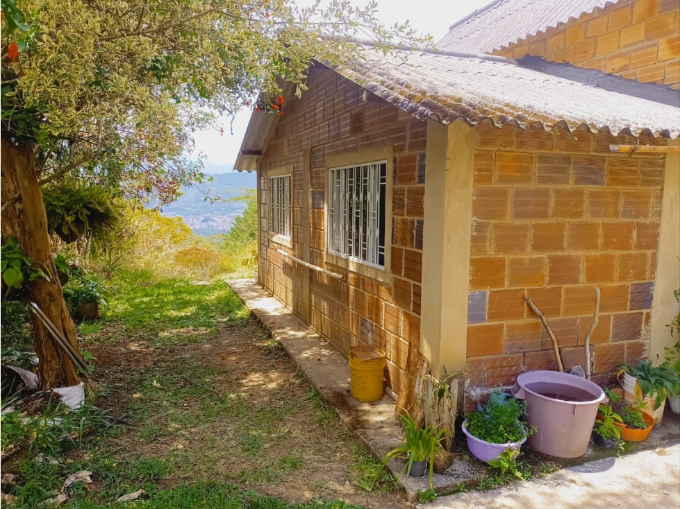SE VENDE FINCA EL PARAISO, PUENTE NACIONAL. - 4