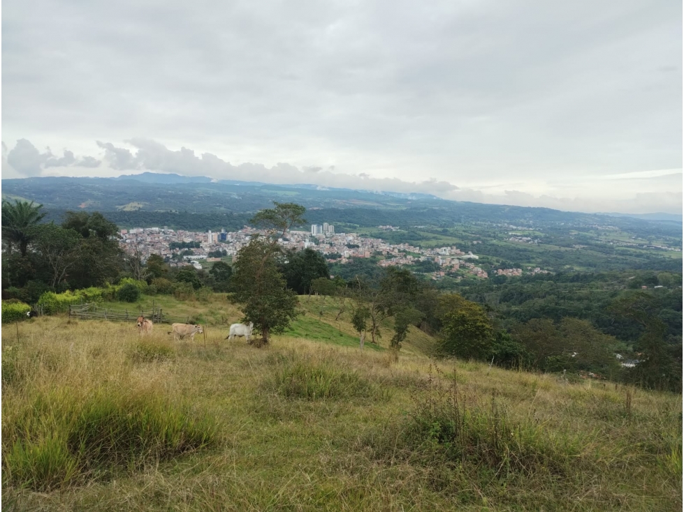 SE VENDE LOTE DE 24000 m², MONIQUIRA BOYACA - 4