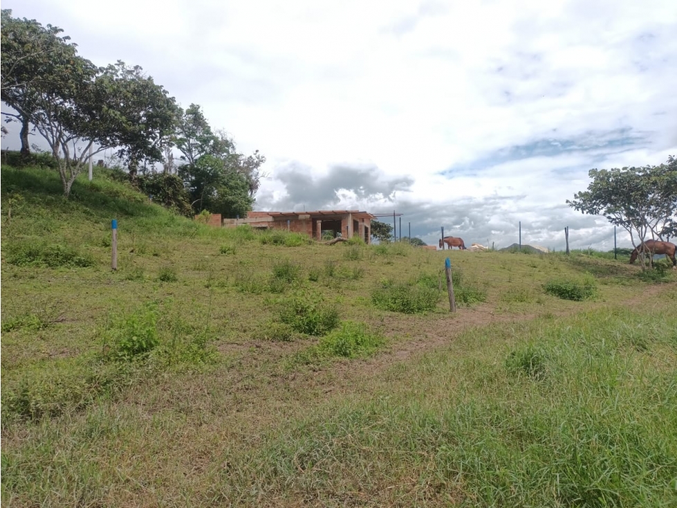 SE VENDEN LOTES VEREDA MACIEGAL - 4