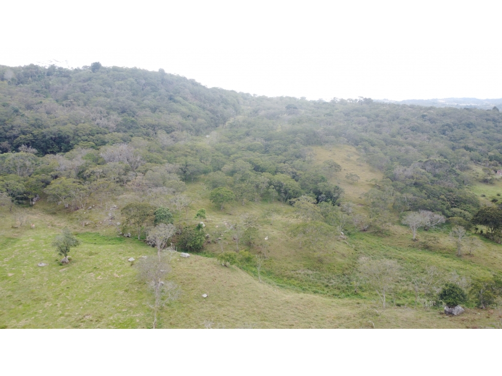 ¡TERRENO EN VENTA EN CAPILLA DE PUENTE NACIONAL, SANTANDER! — foto 4