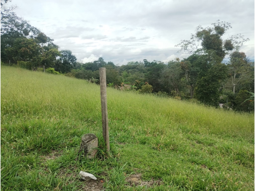 SE VENDE LOTE DE 24000 m², MONIQUIRA BOYACA - 5