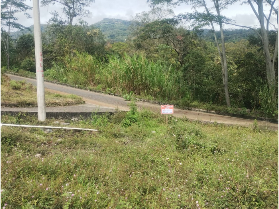 SE VENDEN LOTES VILLA SUSANA MONIQUIRA BOYACA - 5