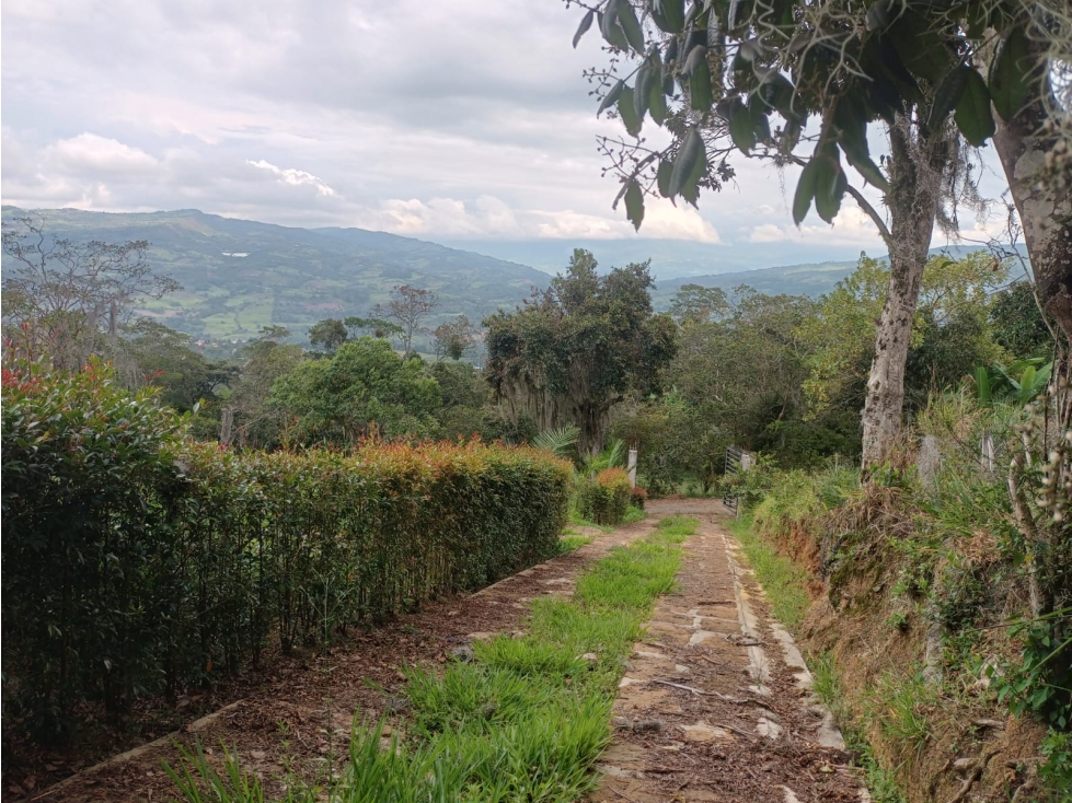 SE VENDE LOTE VERDA LA PALMA; CITE SANTANDER - 3