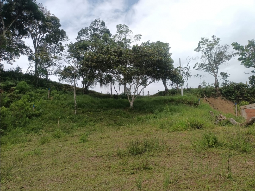 SE VENDEN LOTES VEREDA MACIEGAL - 5