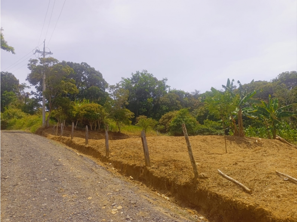 SE VENDE LOTE URBANIZACION ALTOS DEL MANANTIAL - 2
