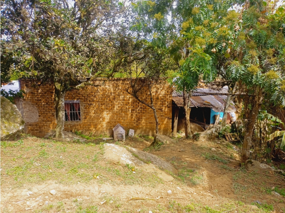 SE VENDE CASA-LOTE BARRIO VILLA MARIA, BARBOSA SANTANDER - 6