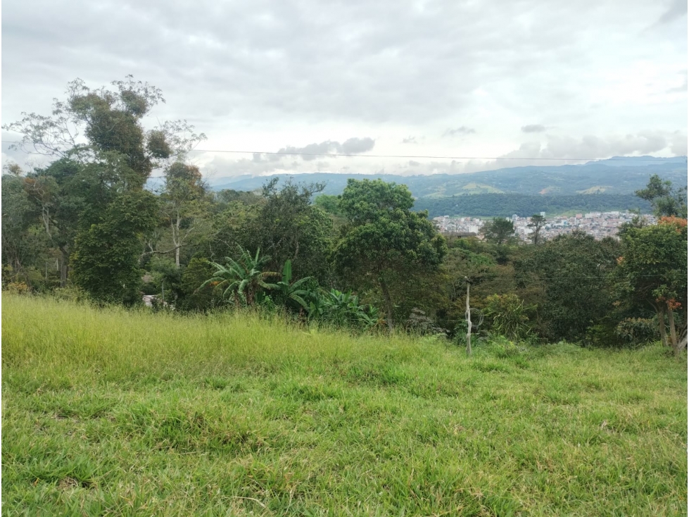 SE VENDE LOTE DE 24000 m², MONIQUIRA BOYACA - 6