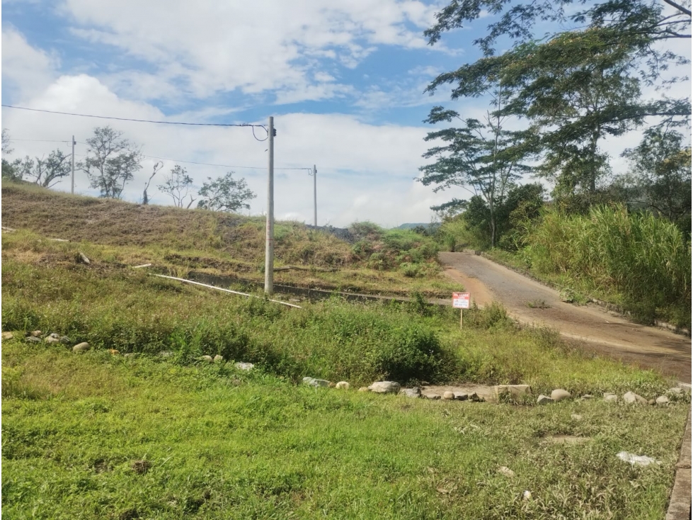 SE VENDEN LOTES VILLA SUSANA MONIQUIRA BOYACA - 6