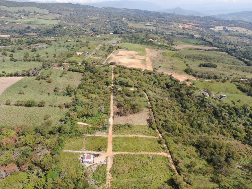 SE VENDEN LOTES "EL CARRUSAL" VEREDA POZO NEGRO - 4