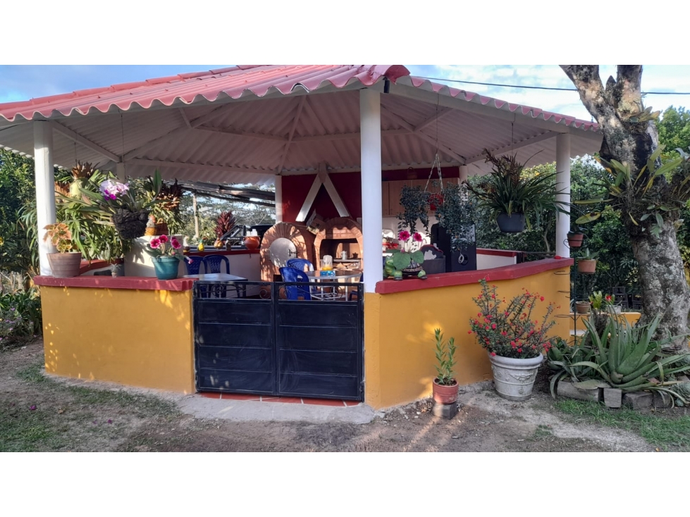 SE VENDE FINCA VEREDA ALTO SEMISA PUENTE NACIONAL - 4