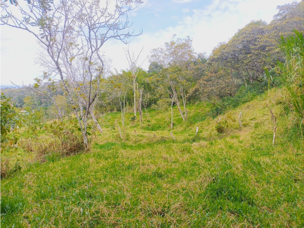 SE VENDE FINCA EL PARAISO, PUENTE NACIONAL. - 6