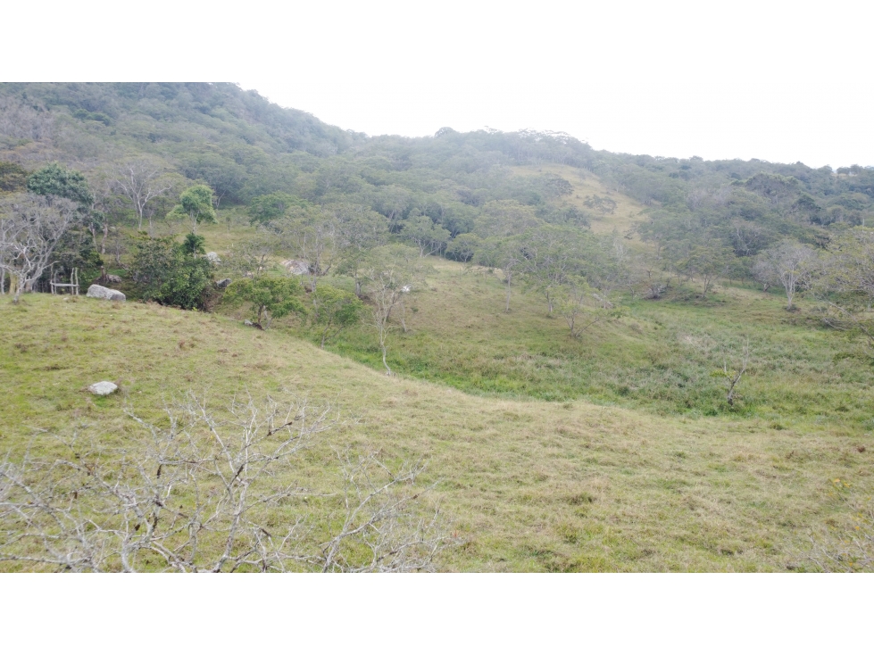 ¡TERRENO EN VENTA EN CAPILLA DE PUENTE NACIONAL, SANTANDER! — foto 5