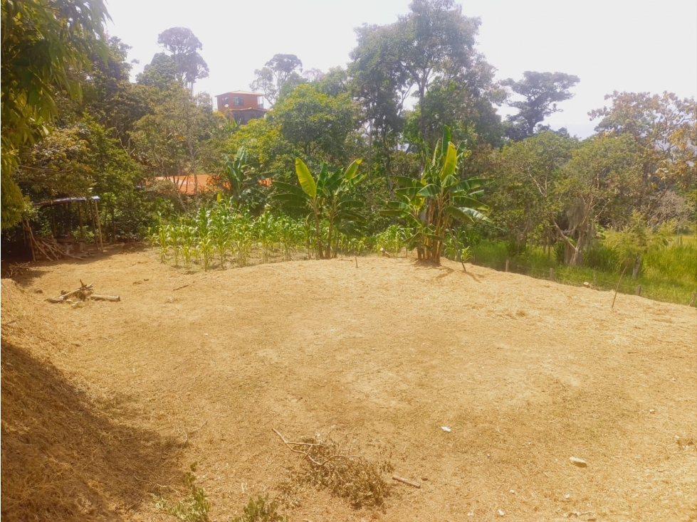 SE VENDE LOTE URBANIZACION ALTOS DEL MANANTIAL - 3