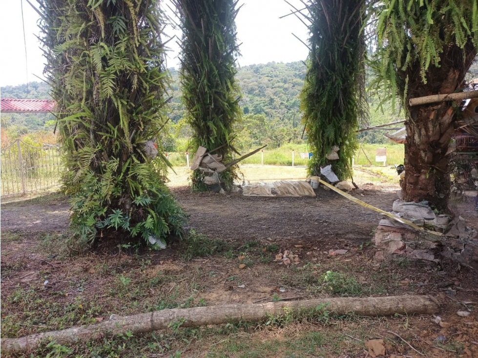 SE VENDEN LOTE OCHOA COUNTRY HOUSE; SECTOR LA UIS - 3