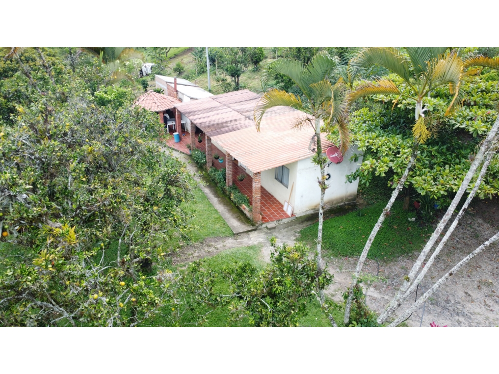 SE VENDE FINCA EL CARACOL UBICADO EN OIBA SDER/ VEREDA GUAYABITO - 4