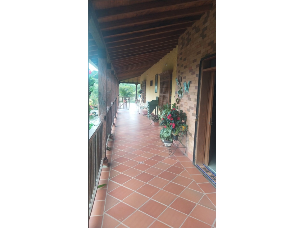 Finca en Marinilla, 43.000 mts, con Pesebreras, Independiente — foto 4