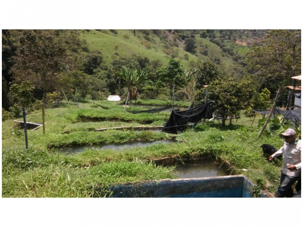 Finca en Girardota 57.600 mts, (para truchas)