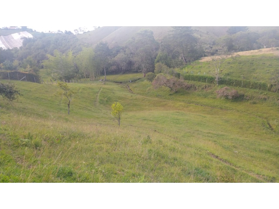 Lotes en Marinilla, desde 10.500 mts y más áreas. — foto 2